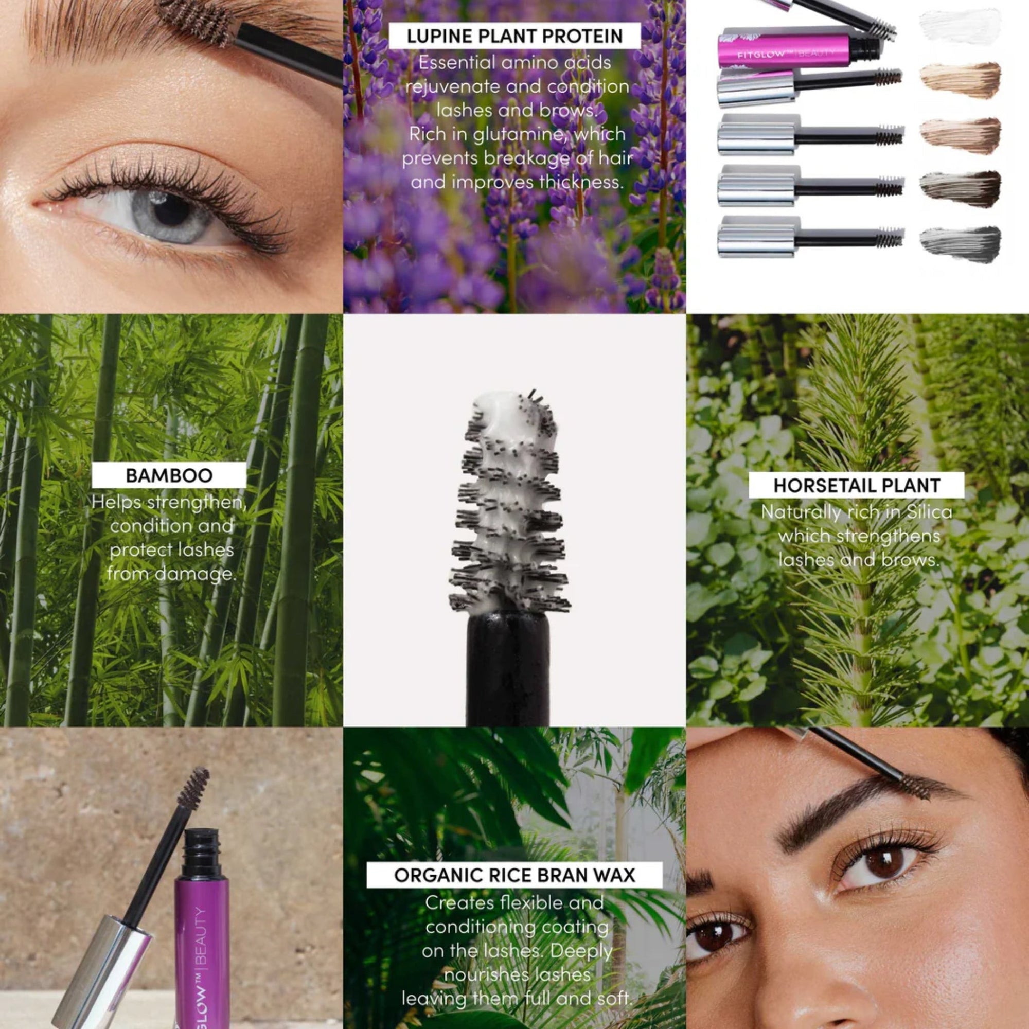 FitGlow Beauty - Fitglow Beauty Plant Protein Brow Gel - ORESTA clean beauty simplified