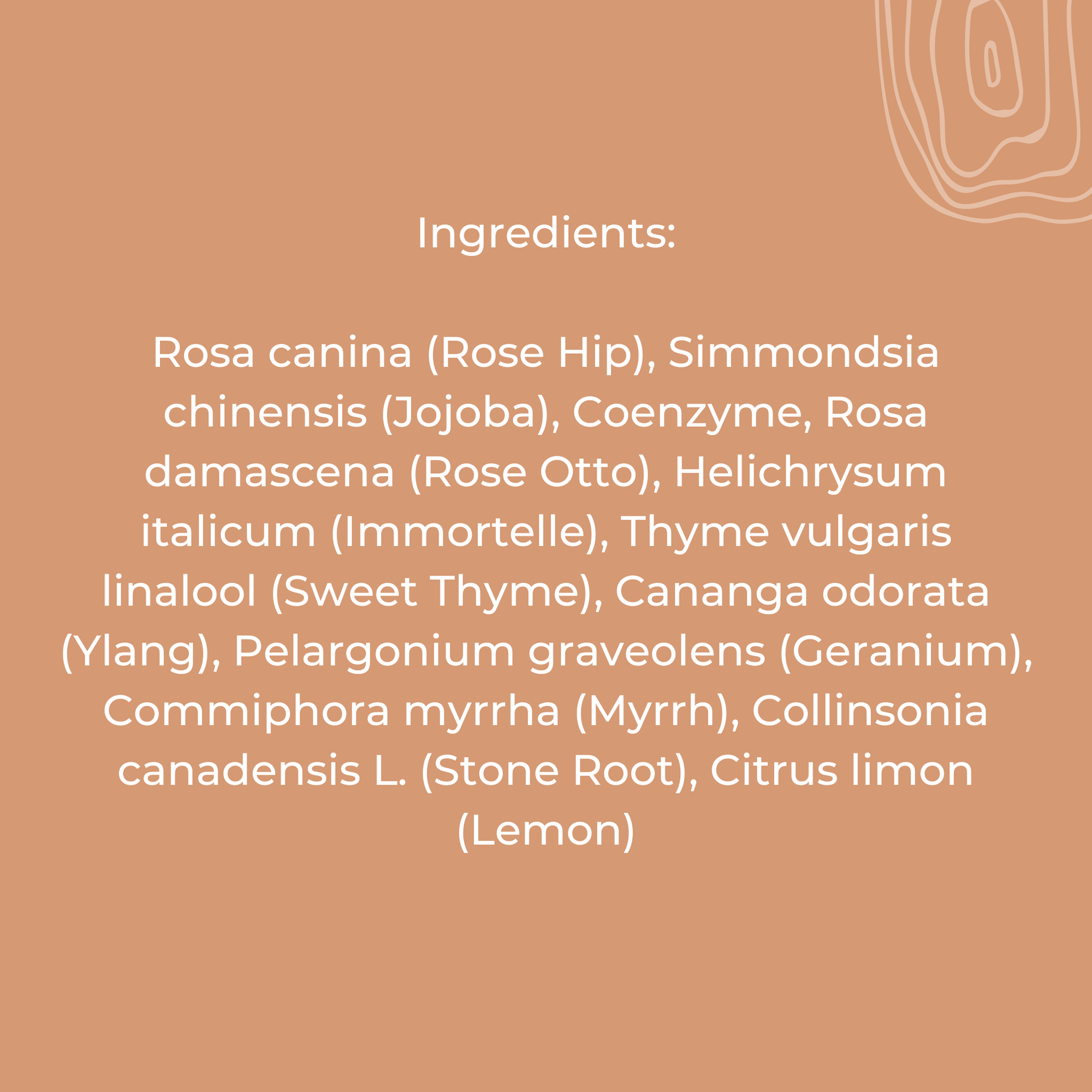 Living Libations - Living Libations Royal Rose CoQ10 Serum - ORESTA clean beauty simplified