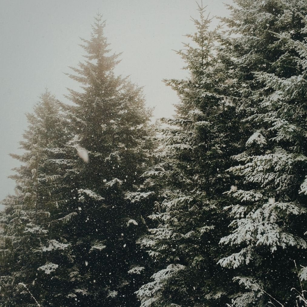 A Winter Skin Reset: Why It Starts With Your Cleanser - ORESTA mindful beauty