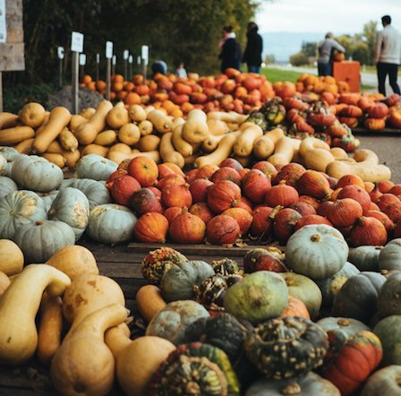 Fall Foods For Glowing Skin - ORESTA mindful beauty