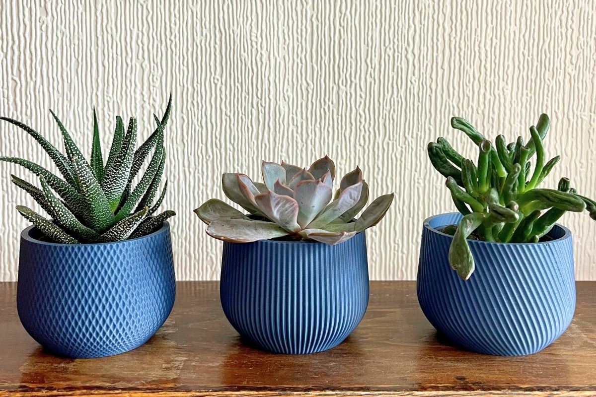 Small, Conscious Choices: A Mindful Approach Beyond Earth Month