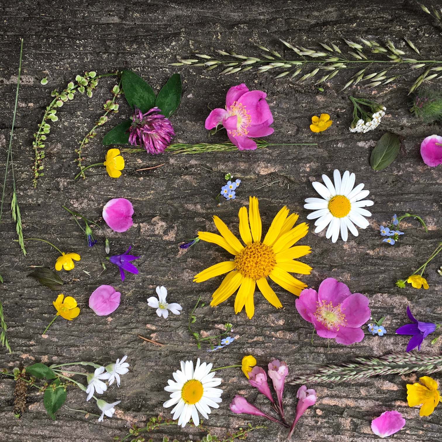 Sun Safety and Sunscreen - ORESTA mindful beauty