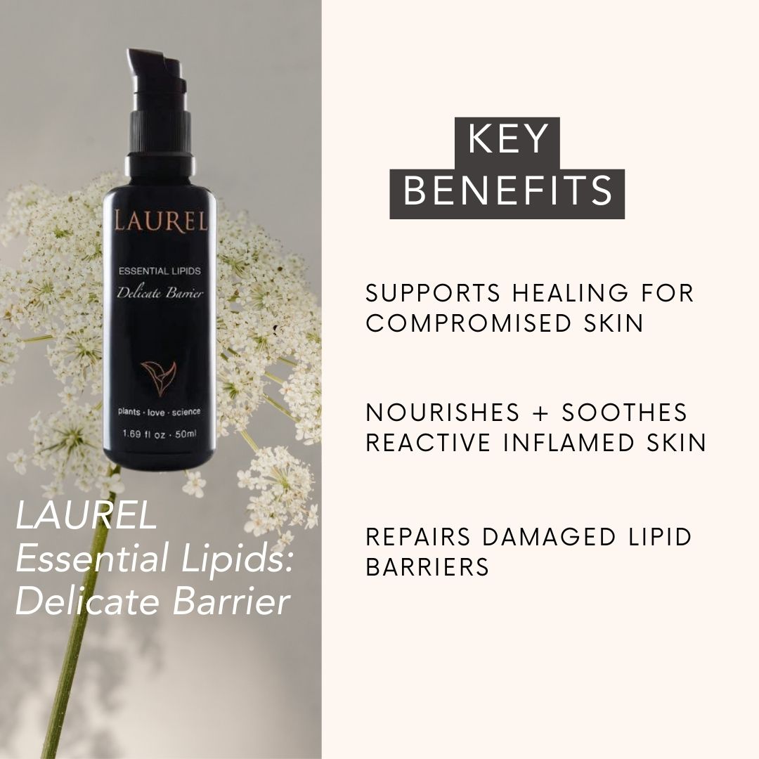 LAUREL Essential Lipids: Delicate Barrier key benefits: SUPPORTS HEALING FOR COMPROMISED SKIN, nourishes + soothes reactive inflamed skin, REPAIRS damaged lipid barriers