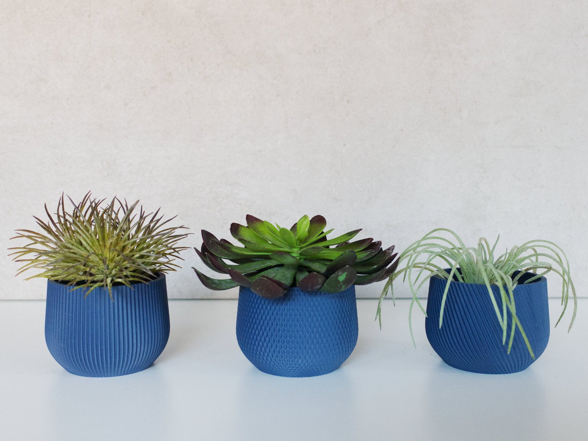 Conifer - Mini Planter Set - ORESTA mindful beauty