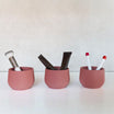Mini Planter Set