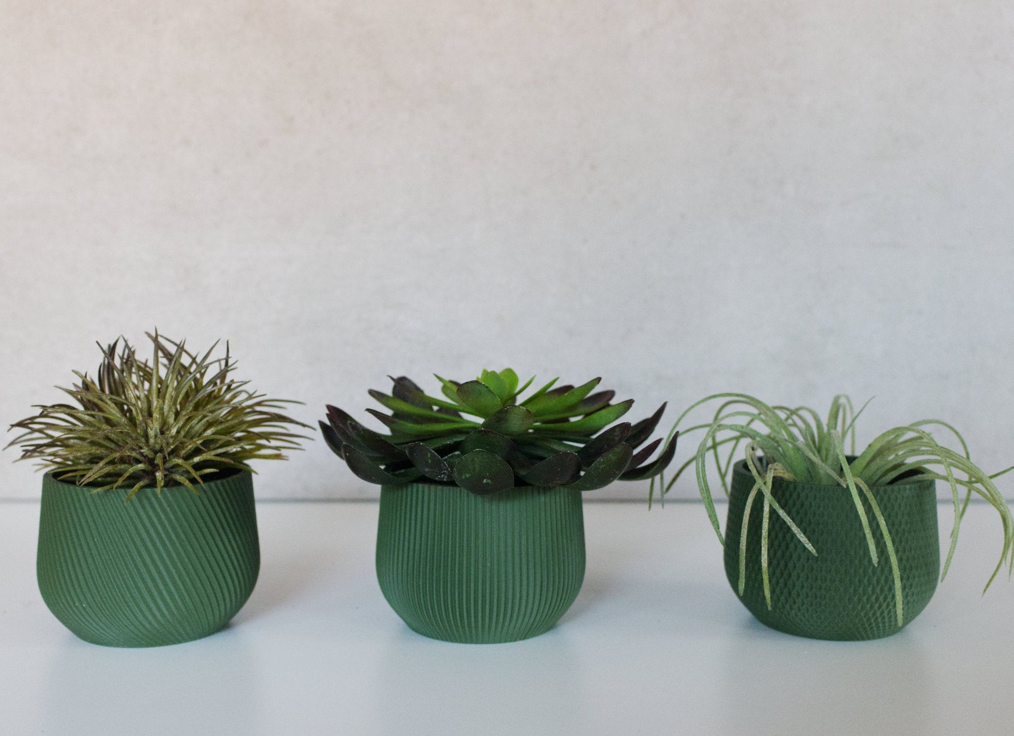 Conifer - Mini Planter Set - ORESTA mindful beauty