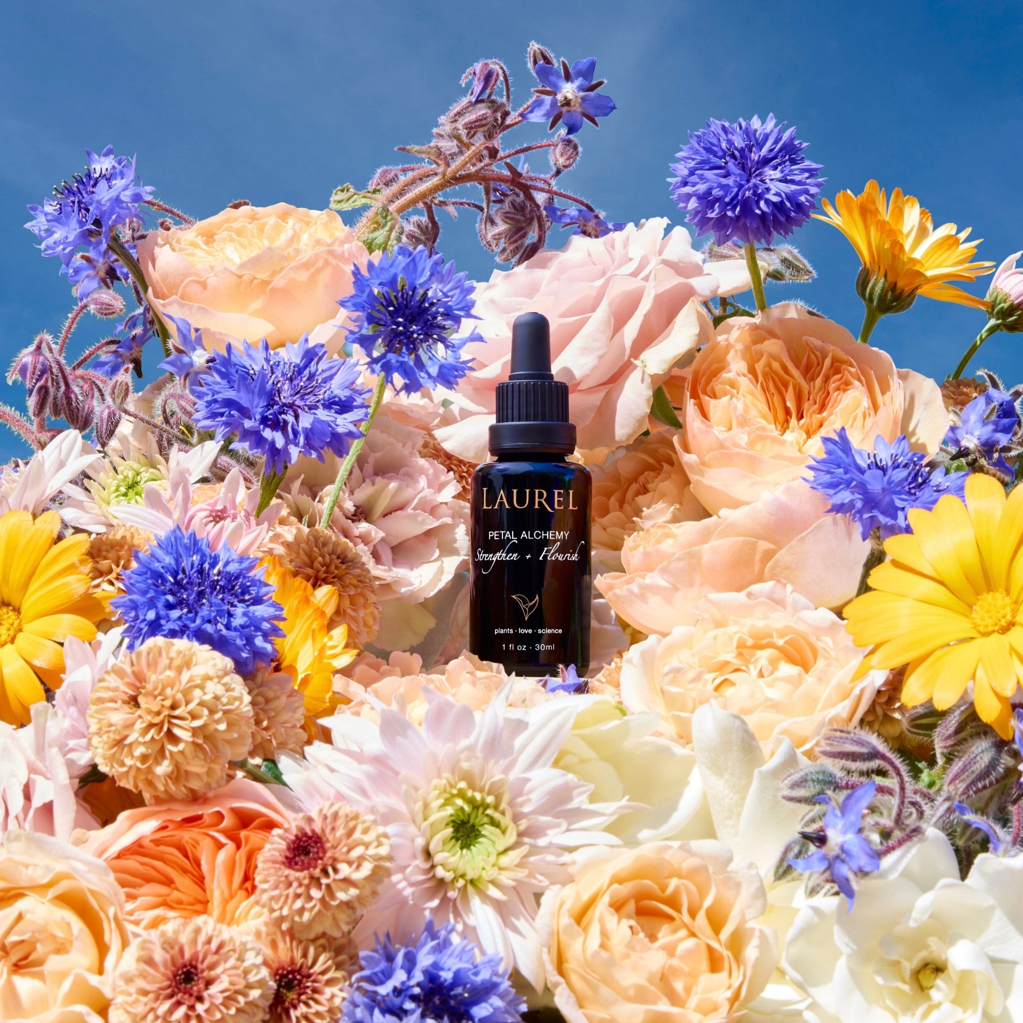 Laurel Skin - Laurel Petal Alchemy Serum: Strengthen + Flourish - ORESTA clean beauty simplified