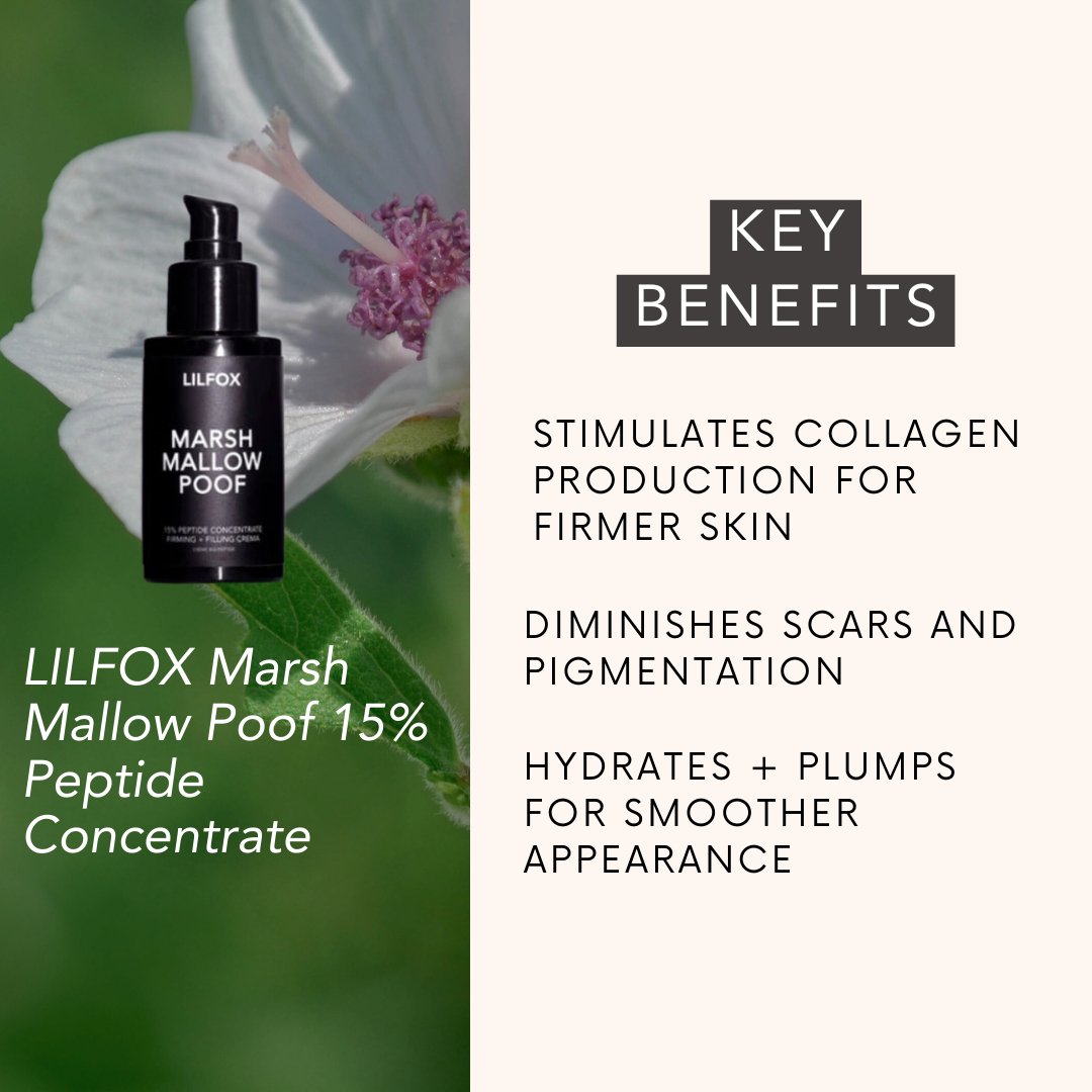 Lilfox - LILFOX Marshmallow Poof 15% Peptide Concentrate Firming + Filling Crèma - ORESTA clean beauty simplified