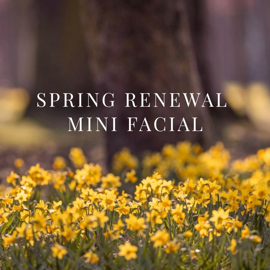 ORESTA - Spring Renewal Mini Facial - ORESTA mindful beauty