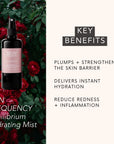 Skin Frequency - Skin Frequency Equilibrium Hydrating Mist - ORESTA mindful beauty
