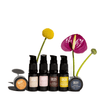 Skin Frequency Sensitive Skin Discovery Set